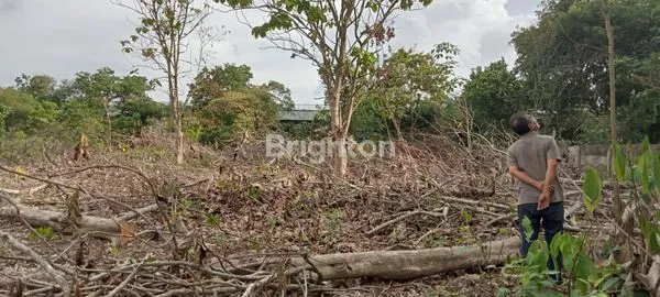 image TANAH HARGA SPECIAL DI TALANG JAMBE (1)