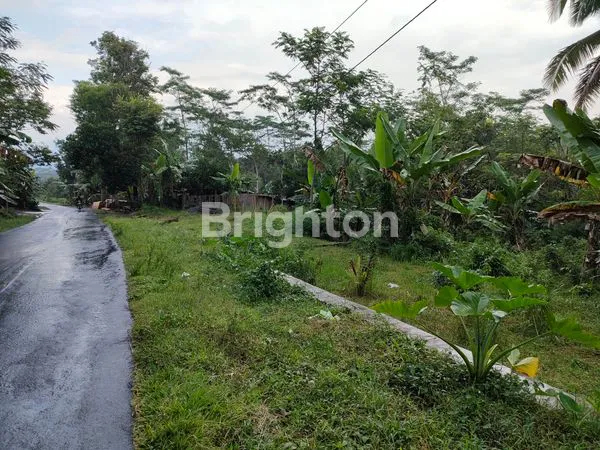 DIJUAL TANAH PEKARANGAN DI KOTA TEMANGGUNG