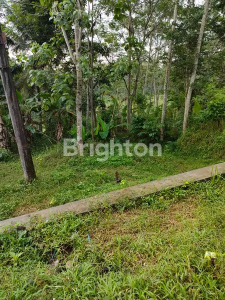 image DIJUAL TANAH PEKARANGAN DI KOTA TEMANGGUNG (2)