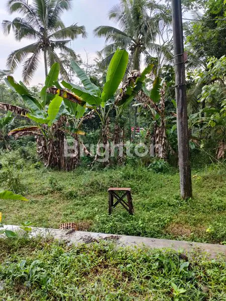 image DIJUAL TANAH PEKARANGAN DI KOTA TEMANGGUNG (3)