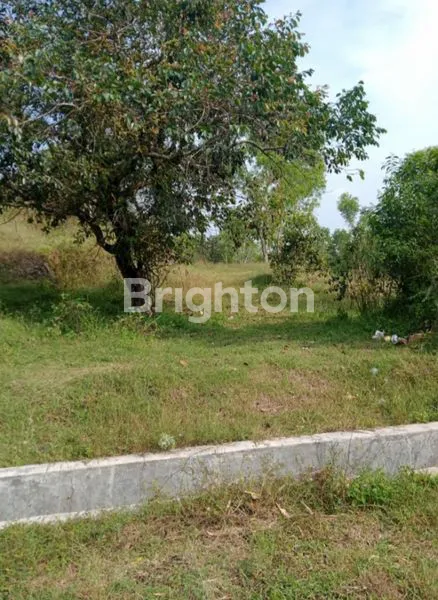 image TANAH LUAS DAN MURAH DI DAERAH GIRIWOYO WONOGIRI (2)