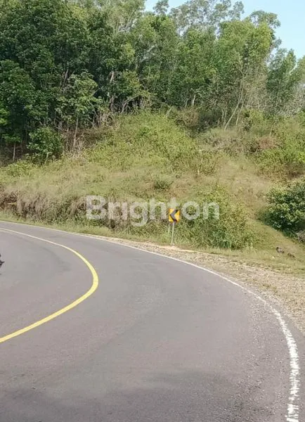 image TANAH LUAS DAN MURAH DI DAERAH GIRIWOYO WONOGIRI (3)