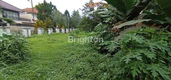 image RUMAH BESAR DENGAN HALAMAN LUAS (3)