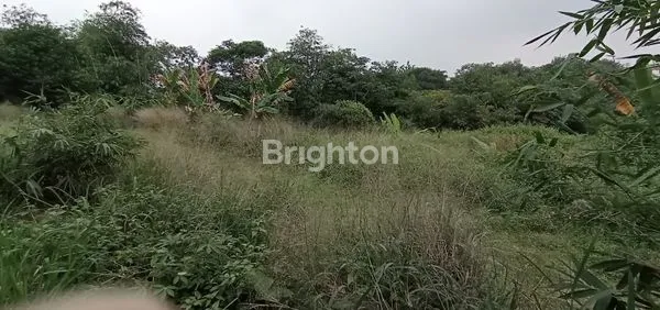 image TANAH STRATEGIS DI PINGGIR JALAN (2)