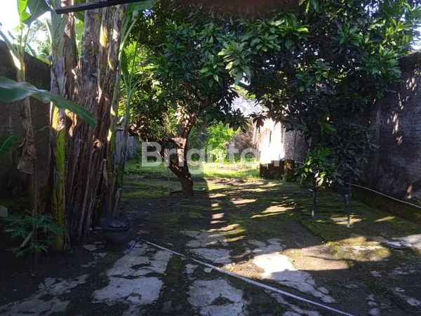 image RUMAH DI JALAN PAMENANG KEDIRI (6)