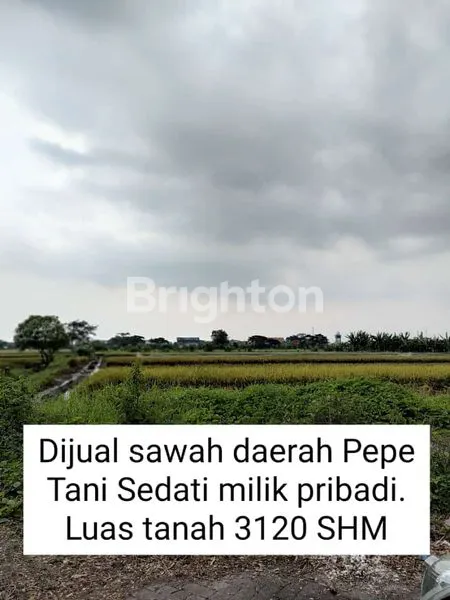 Gambar Property TANAH SAWAH PEPE SEDATI MURAH