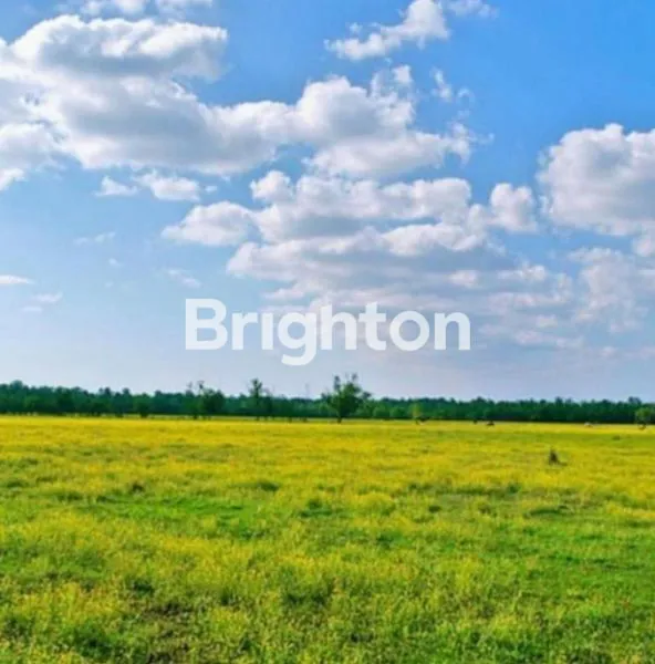 TANAH DHARMAHUSADA MAS