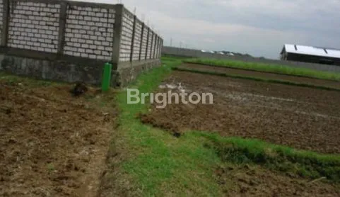 image TANAH KAVLING SIAP BANGUNT IREMAN, REMBANG JAWA TENGAH (3)