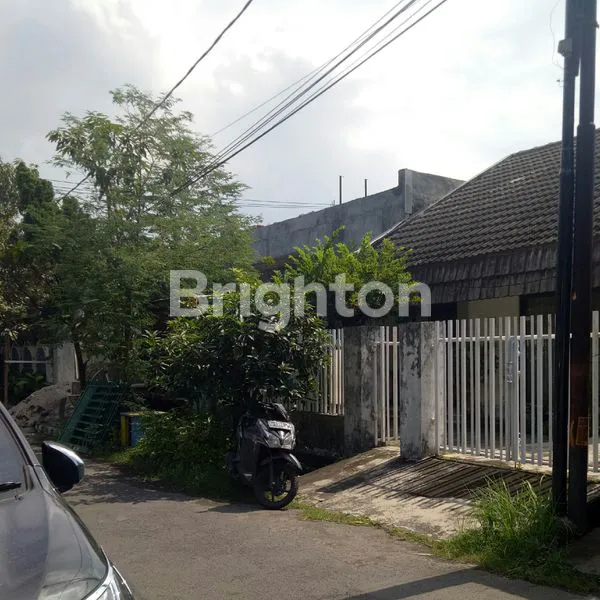 image BENDUL MERISI SELATAN DEKAT PLASA MARINA (1)