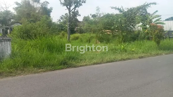 image TANAH NOL JALAN RAYA (2)