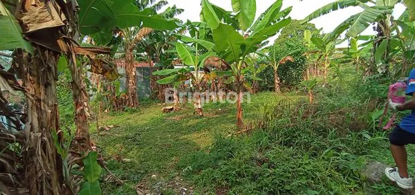 image TANAH STRATEGIS DITENGAH KOTA BOGOR, KAWASAN BANGBARUNG (1)