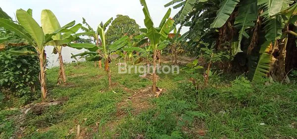 image TANAH STRATEGIS DITENGAH KOTA BOGOR, KAWASAN BANGBARUNG (2)