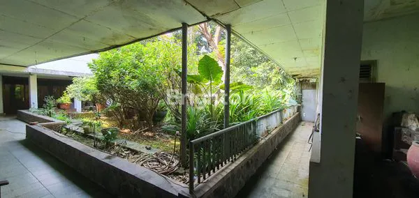 image RUMAH TUA HITUNG TANAH DI PASAR BARU JARANG ADA (5)