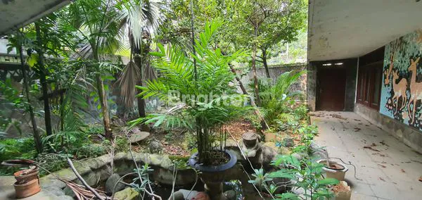 image RUMAH TUA HITUNG TANAH DI PASAR BARU JARANG ADA (3)