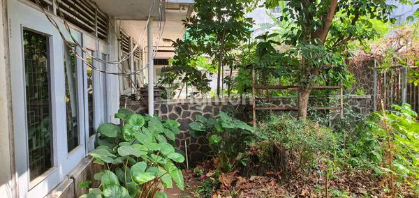 image RUMAH TUA HITUNG TANAH DI PASAR BARU JARANG ADA (4)