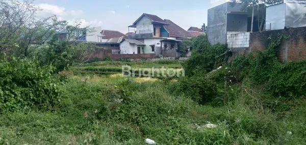 image TANAH PROSPEKTIF PASURUAN SIAP DIBANGUN PERUMAHAN POROS SURABAYA - MALANG HARGA MURAH (4)