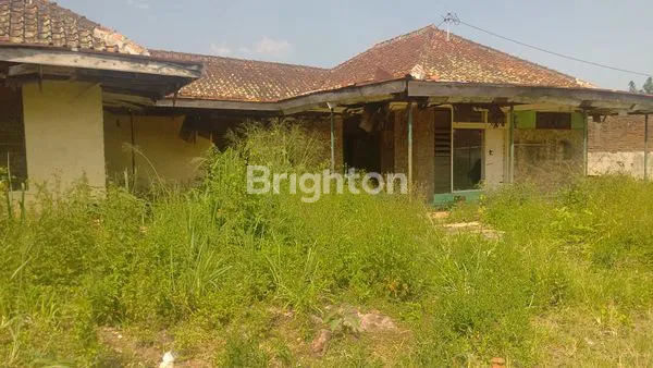 image MAIN ROAD PLUS BANGUNAN (3)