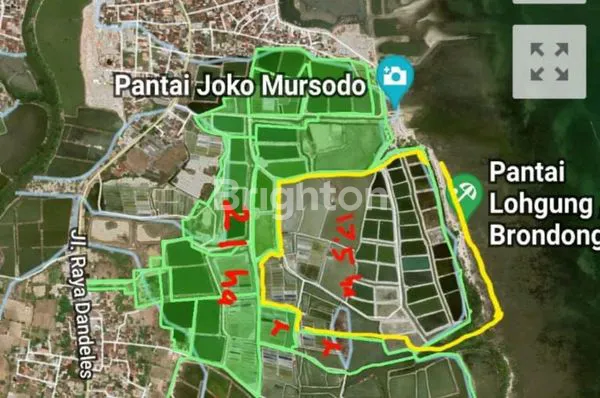 image TANAH INDUSTRI DI DESA LOHGUNG LAMONGAN  (1)