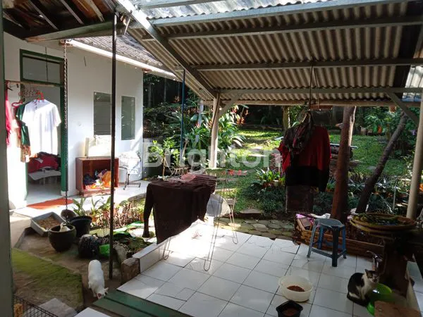image RUMAH TINGGAL (6)
