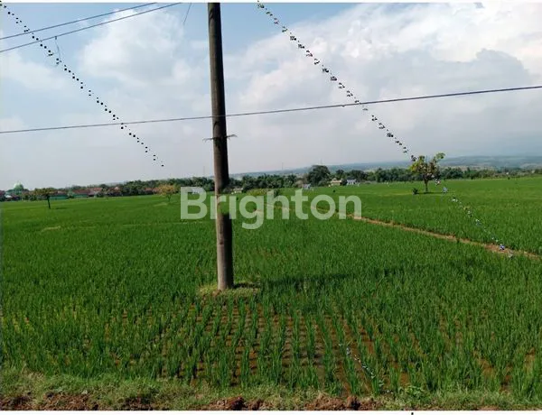 image JUAL TANAH AREA INDUSTRI JOMBANG (1)