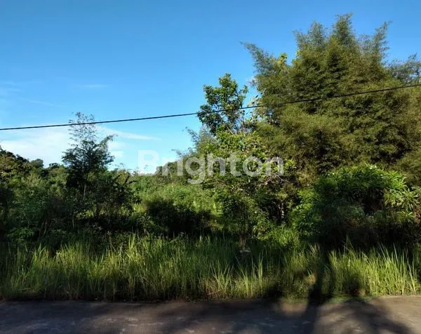 image TANAH PINGGIR JALAN, LEO 047 SMD (2)