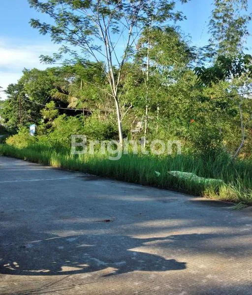 image TANAH PINGGIR JALAN, LEO 047 SMD (3)