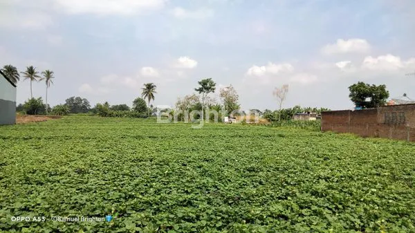 image MURAH BANGET! TANAH SANGAT STRATEGIS 5 MENIT KE EXIT TOL PAKIS DI NOL JALAN PROVINSI COCOK BUAT SEMUA USAHA (5)