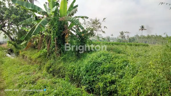 image MURAH BANGET! TANAH SANGAT STRATEGIS 5 MENIT KE EXIT TOL PAKIS DI NOL JALAN PROVINSI COCOK BUAT SEMUA USAHA (7)