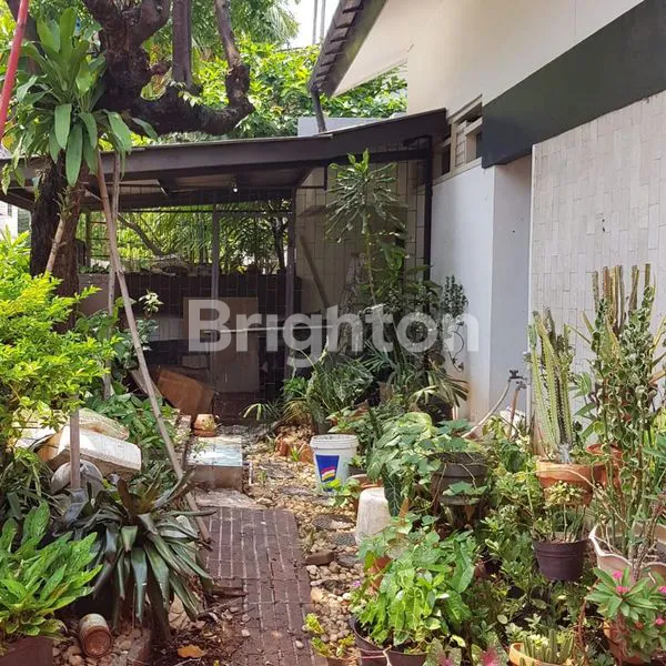 image RUMAH LUAS DI TAMAN JELAMBAR KAV POLRI JAKARTA (1)