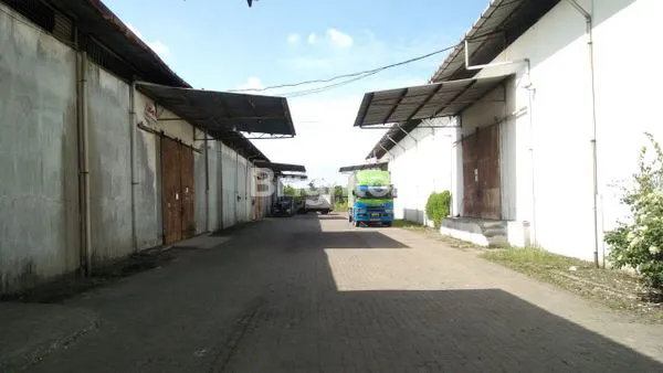 image GUDANG KAYU PUTIH MEDAN DELI (1)