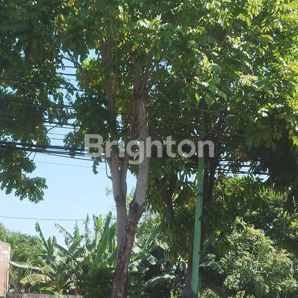 image TANAH DEKAT AIRPORT KOTA KEDIRI (3)