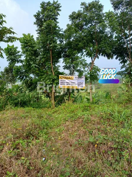 image TANAH DI CITEUREUP BOGOR (1)