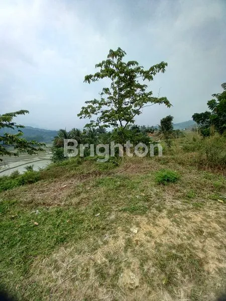 image TANAH DI CITEUREUP BOGOR (3)