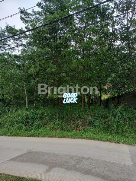 image TANAH DI CITEUREUP BOGOR (5)