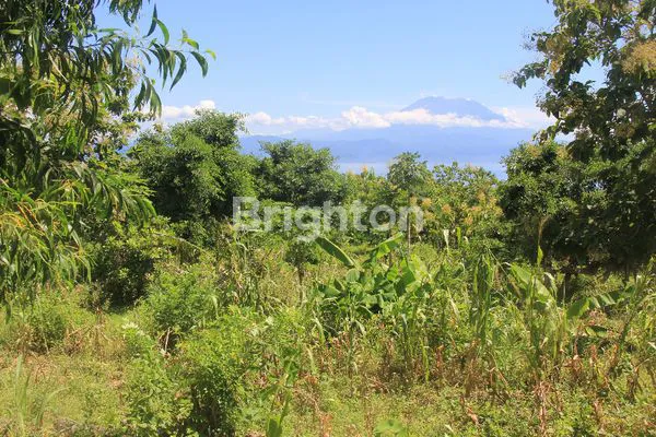 image TANAH VIEW GUNUNG NUSA PENIDA (4)