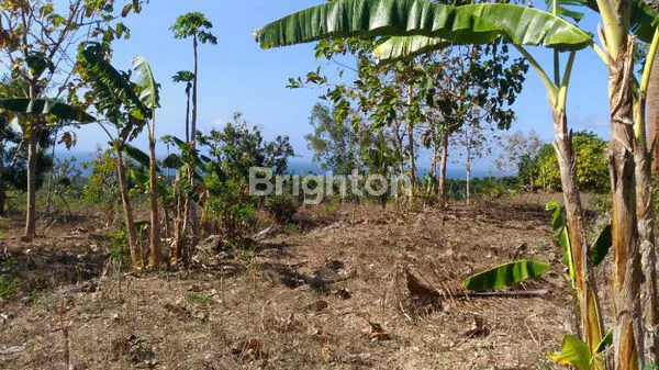 image TANAH VIEW GUNUNG NUSA PENIDA (5)
