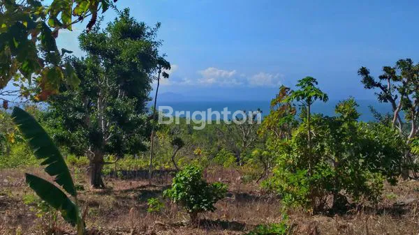 image TANAH VIEW GUNUNG NUSA PENIDA (6)