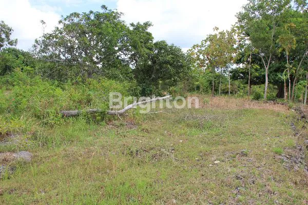 image TANAH VIEW GUNUNG NUSA PENIDA (7)