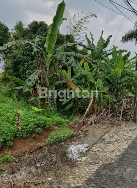 Gambar Property TANAH DI BULUSAN SELATAN, SANGAT COCOK UNTUK KOS-KOSA, DEKAT UNDIP TEMBALANG