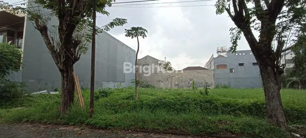 image MANYAR JAYA SIAP BANGUN (1)