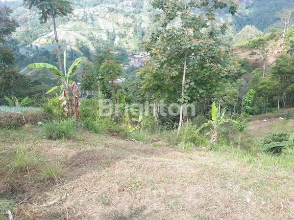 image TANAH DIKAWASAN WISATA KEMUNING DAN CANDI CETHO (7)