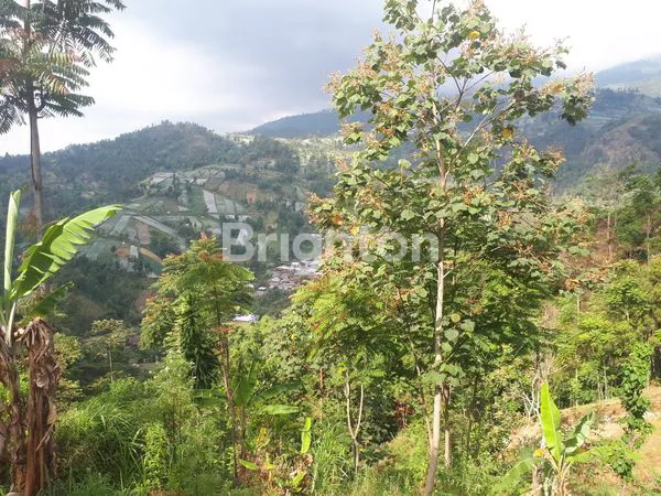 image TANAH DIKAWASAN WISATA KEMUNING DAN CANDI CETHO (4)