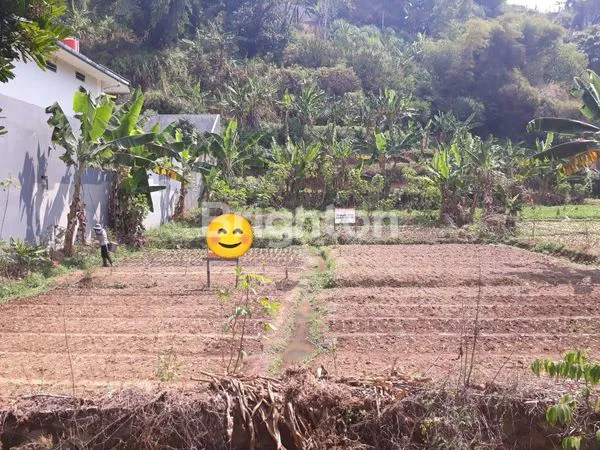 image TANAH DEKAT POLBAN (2)