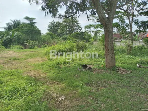 image LAHAN 1,3 H DI DEKAT TELAGA  KAHURIPAN  (6)