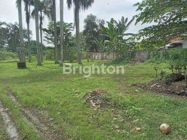 image LAHAN 1,3 H DI DEKAT TELAGA  KAHURIPAN  (7)