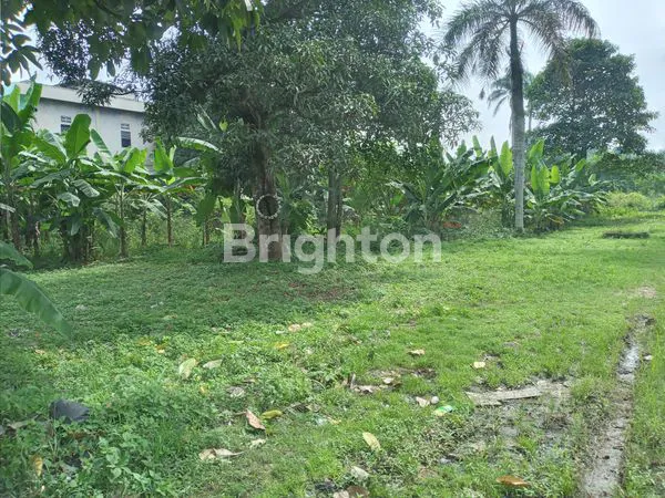 image LAHAN 1,3 H DI DEKAT TELAGA  KAHURIPAN  (8)