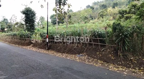 VIEW GUNUNG ARJUNA, PANDERMAN, & KOTA BATU! GUNUNG WUKIR KOTA BATU