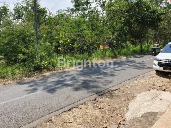 image TANAH STRATEGIS UNTUK PERKEBUNAN ATAU USAHA DI PASURUAN (2)