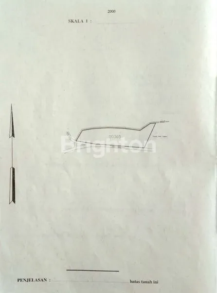 image TANAH STRATEGIS UNTUK PERKEBUNAN ATAU USAHA DI PASURUAN (4)