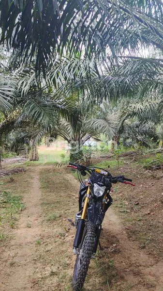 image TANAH 8 HA MASUK 100 M² DARI JALAN RAYA DI IKN (1)